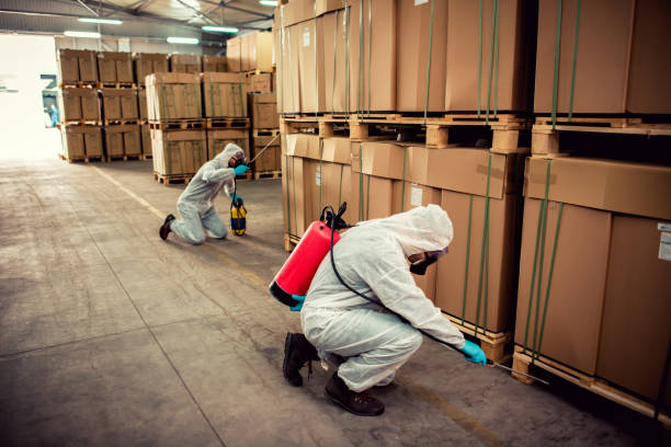 Best Residential Pest Control  in Bismarck, MO