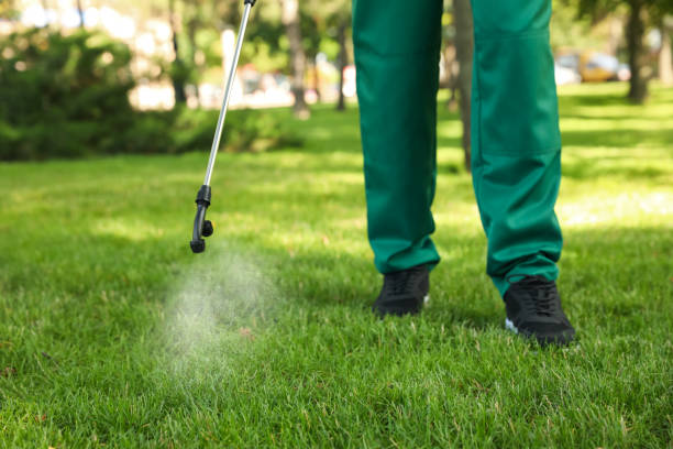 Best Local Pest Control Services  in Bismarck, MO