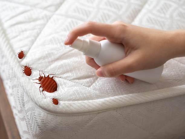 Best Flea Control Services  in Bismarck, MO