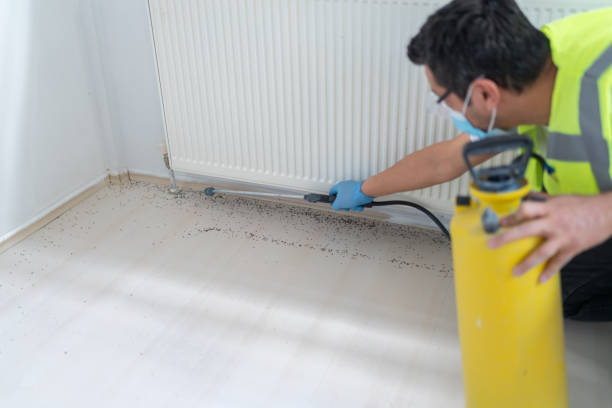 Best Affordable Pest Control Services  in Bismarck, MO