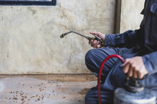 Best Pest Prevention Services  in Bismarck, MO