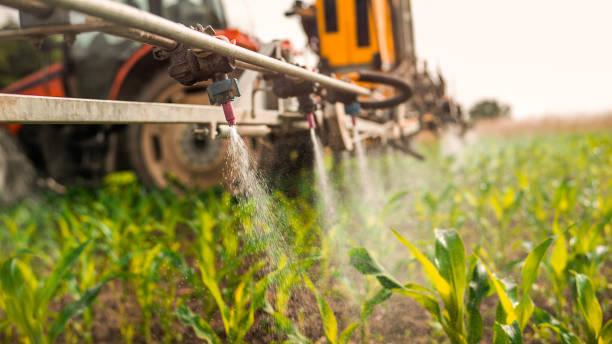 Best Wildlife Control Services  in Bismarck, MO